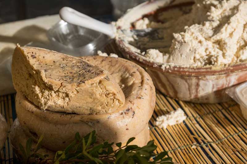 Unveiling Casu Marzu Cheese: A Unique Sardinian Delicacy